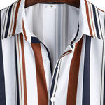 Colored Striped Print Shirt & Swim Shorts Set