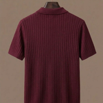 Men's Striped Knit Polo Shirt – Breathable Short Sleeve | Areleon