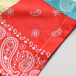 Color Block Paisley Print Shirt & Swim Shorts Set