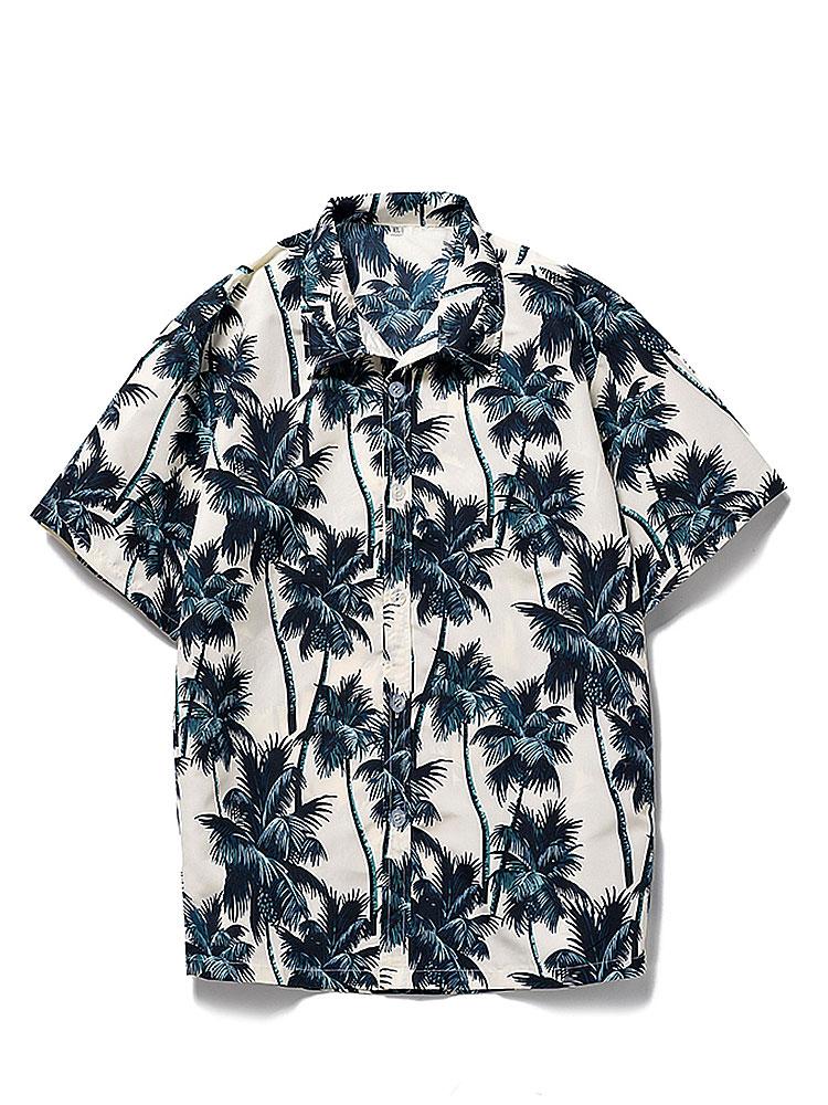 Palm Tree Print Shirt & Swim Shorts Set